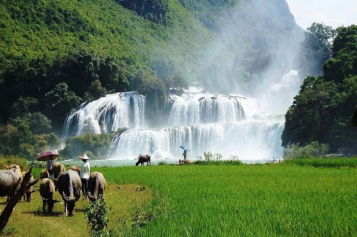 Ban Gioc waterfall Ban Gioc waterfall