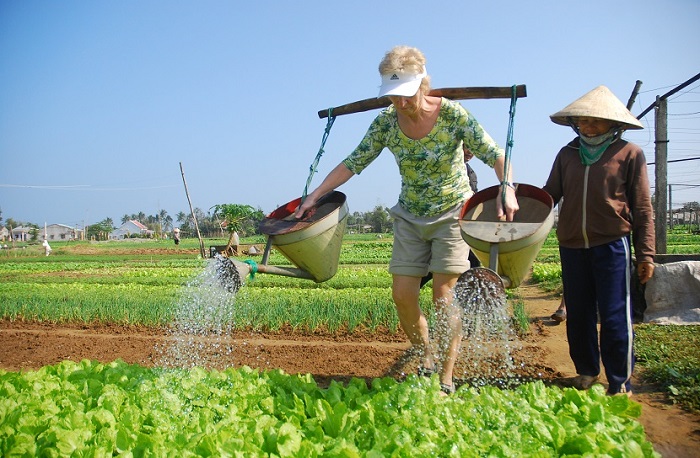 Tra Que Farming Tra Que Farming
