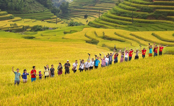 Hoang Su Phi Terraced Rice Field
