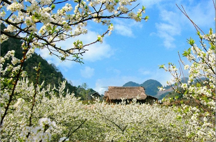 Mai Chau in Spring Mai Chau in Spring