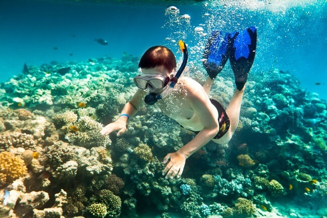 Snorkeling in Phu Quoc